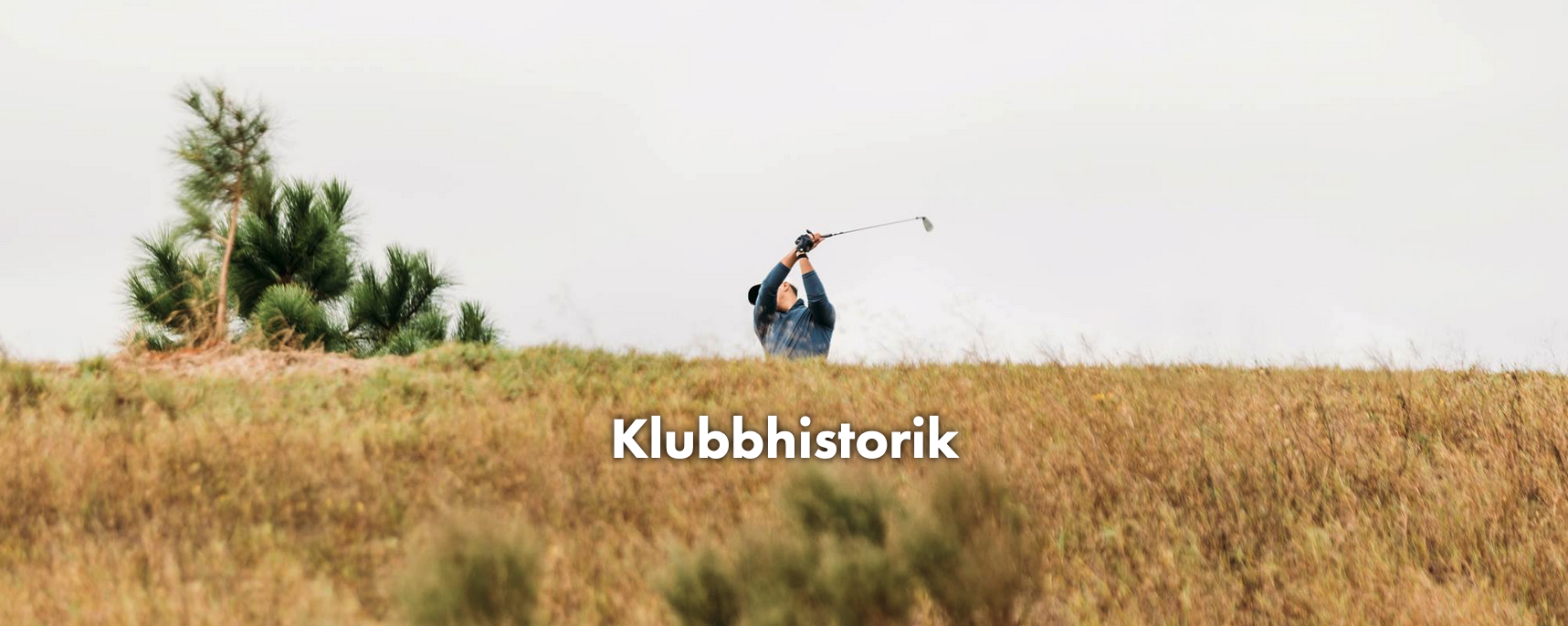 Exempel på hur blocket kan se ut